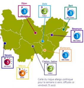 Alerte aux pollens d’ambroisie (santé)