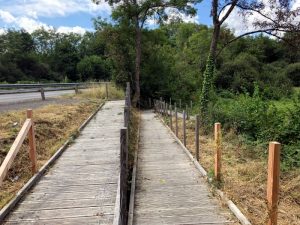 Réactualisé – « Aventure dans la jungle du marais des Morands » (Suite)