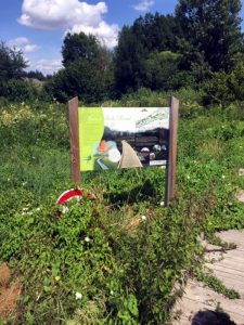 « Aventure dans la jungle du marais des Morands »