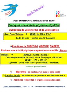 Hirondelles Montcelliennes (Gym)