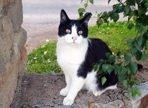 Avis de recherche (Sanvignes)