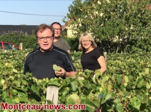 « Sans-Mines-les-Vignes » 