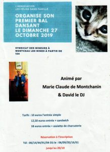 Ce dimanche après-midi, premier thé dansant des félins sans famille (Montceau – Sortir)