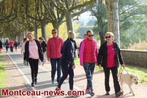 Octobre Rose autour du lac du Plessis Montceau