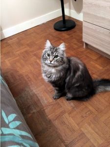 Disparu à Ciry