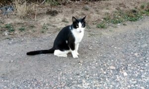 Disparue à Montceau