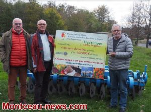 Les tulipes contre le cancer