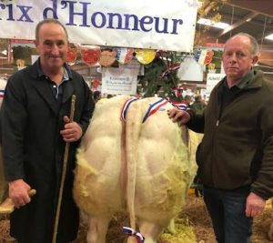 « Festival du Bœuf Charolles 2019 »