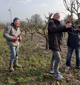 La bourse aux greffons à La Vineuse sur Frégande