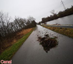 Insécurité routière et incivilités
