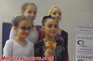 Montceau Gym : Championnats départementaux, Bilan