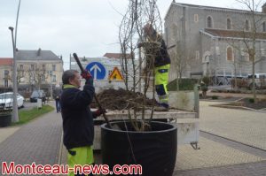 Montceau-les-Mines : Végétalisation du centre ville.