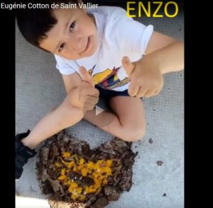 Un projet Land art de l’école Eugénie Cotton de Saint Vallier