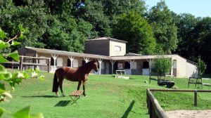 Gourdon :  Centre équestre de Monthury –  Vous l’attendiez avec impatience, nous aussi !
