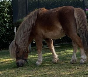 Disparition à Saint-Vallier