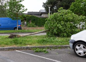 Torcy (Faits divers)