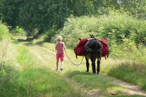Tourisme : Céline Crola fait découvrir le Brionnais