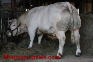 Agriculture : Face à la baisse des prix…..