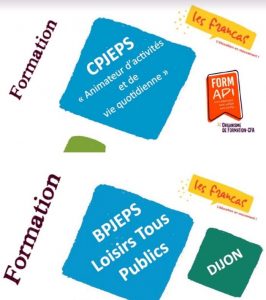 Devenir animateur professionnel, 2 réunions d&rsquo;information en visio