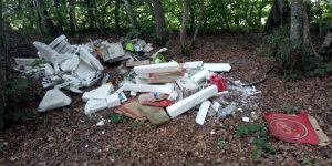 Forêt ou dépotoir de la Garenne ? (Pouilloux)