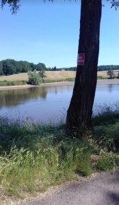 Lac du Plessis (Montceau)