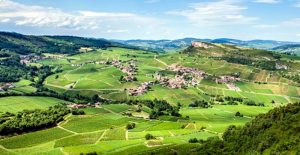Surveillance des résidus de pesticides dans l’air (Environnement)