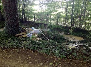 « Un dimanche en forêt de la Garenne mais… »