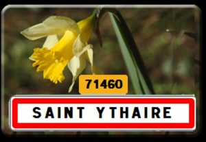Installation d’une délégation spéciale dans la commune de Saint-Ythaire