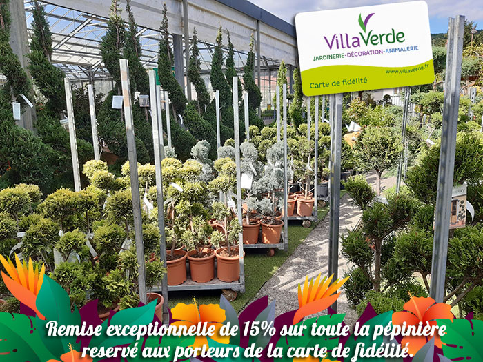 villaverde-01