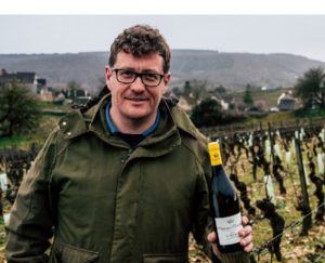 Bourgogne (Economie – viticulture)