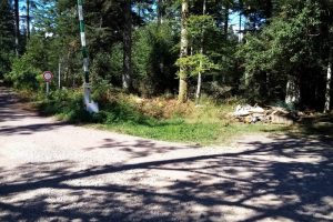 « Même dans la forêt… »