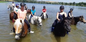 Centre Equestre du Chêne vert à Saint-Eusèbe (Loisirs)