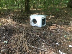 « Pauvre environnement »  ( Blanzy)
