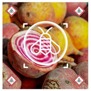 Retour en force des néonicotinoïdes (Environnement)