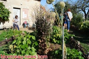 Bienvenue dans mon jardin naturel