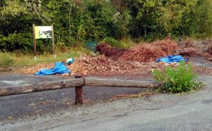 Zone humide du Bois Bretoux ou « zone » tout court ?