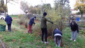 Chantier jeunes OPAC – Ring Montcellien – « Jardin du temps libre »