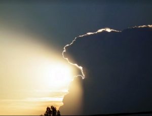 Concours photos sur le thème de la nature & l’inattendu !