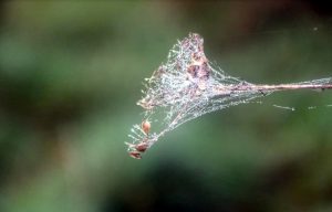 Actualisé – Concours photos avec pour thème la nature & l’inattendu !