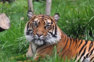 Concours photos sur le thème de la nature & l’inattendu !