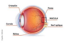 5e journées nationales de la macula, du lundi 23 au samedi 28 novembre 2020