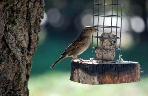 « Bientôt le froid…