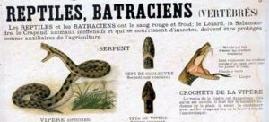 « L’enseignement des sciences 1881-1970  Apprendre par les choses  (Seconde partie) »