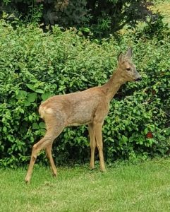 Concours photos sur le thème de la nature & l’inattendu !