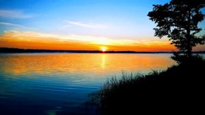 Concours photos sur le thème de la nature & l’inattendu !