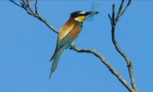 Concours photos sur le thème de la nature & l’inattendu !
