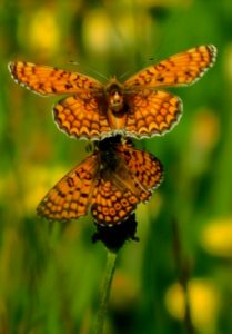 Concours photos sur le thème de la nature & l’inattendu !