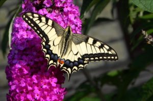 Concours photos sur le thème de la nature & l’inattendu !