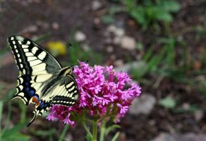 Concours photos sur le thème de la nature & l’inattendu !