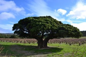Concours photos sur le thème de la nature & l’inattendu !